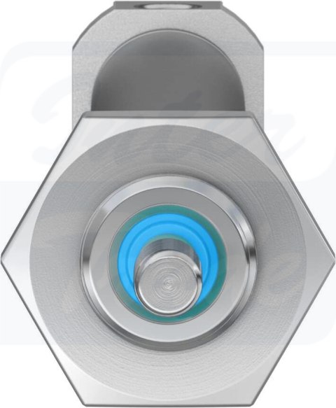 [DSNU-10-100-P-A] {19188} Siłownik znormalizowany