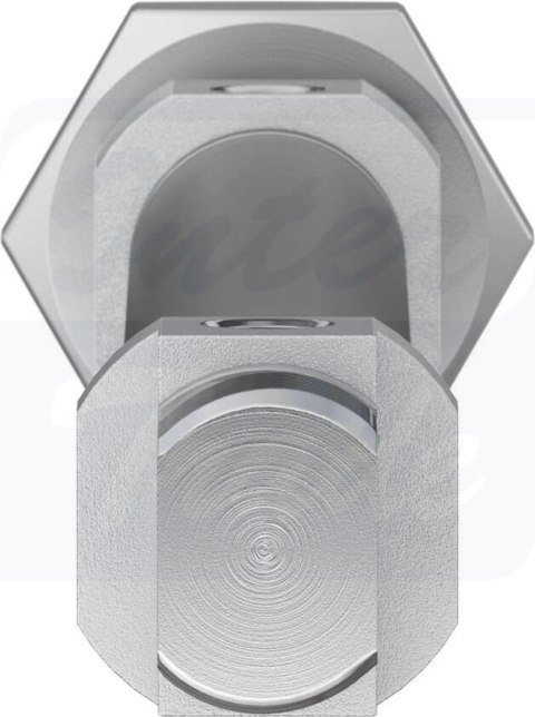 [DSNU-10-100-P-A] {19188} Siłownik znormalizowany