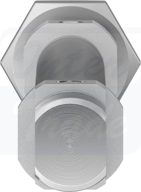 [DSNU-12-125-P-A] {19195} Siłownik znormalizowany