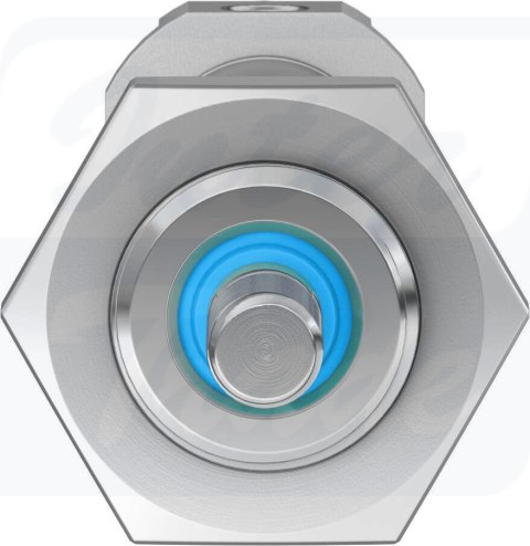 [DSNU-12-50-P-A] {19192} Siłownik znormalizowany