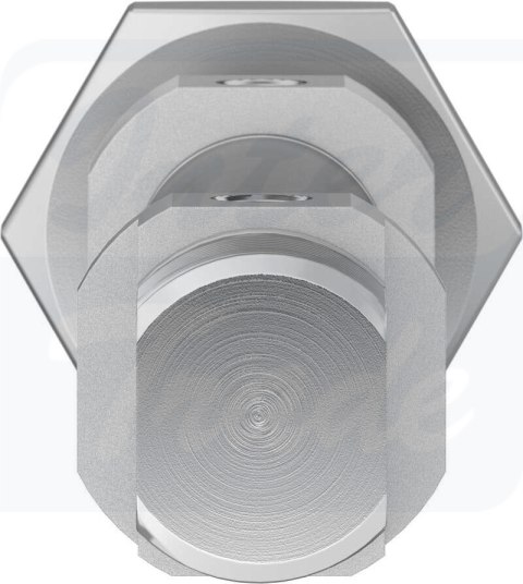 [DSNU-12-50-P-A] {19192} Siłownik znormalizowany