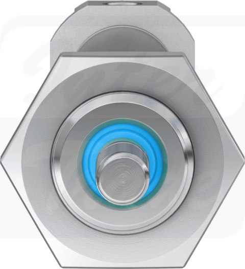 [DSNU-12-80-P-A] {19193} Siłownik znormalizowany