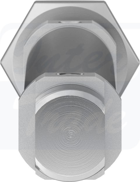 [DSNU-16-100-P-A] {19203} Siłownik znormalizowany