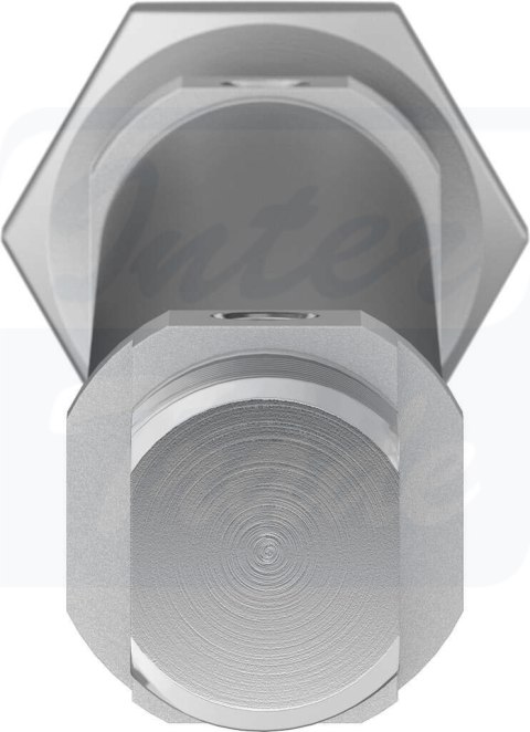 [DSNU-16-125-P-A] {19204} Siłownik znormalizowany