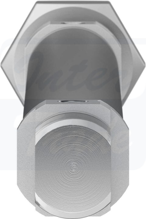 [DSNU-16-160-PPV-A] {19234} Siłownik znormalizowany