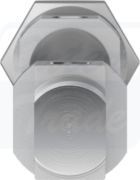 [DSNU-20-125-P-A] {19213} Siłownik znormalizowany