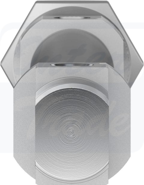 [DSNU-20-125-PPV-A] {19240} Siłownik znormalizowany