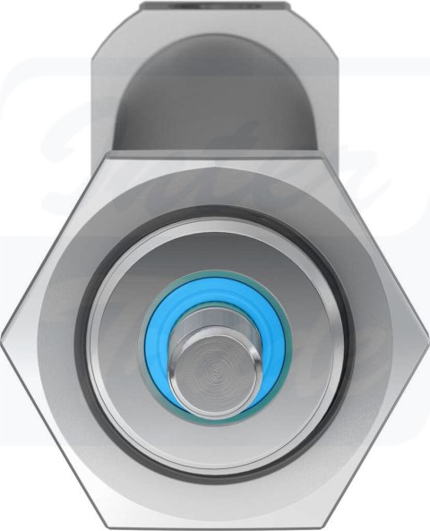 [DSNU-20-200-P-A] {19215} Siłownik znormalizowany