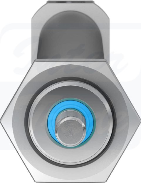 [DSNU-20-250-P-A] {19216} Siłownik znormalizowany