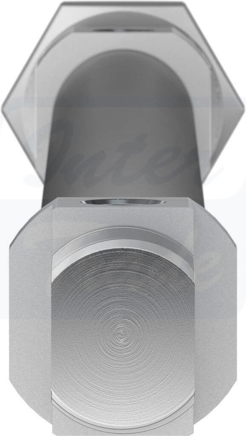 [DSNU-20-300-P-A] {19217} Siłownik znormalizowany