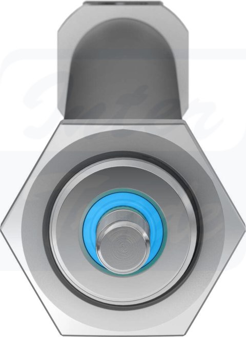 [DSNU-20-300-PPV-A] {19244} Siłownik znormalizowany