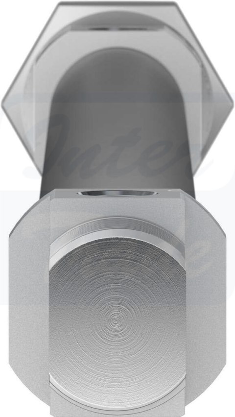 [DSNU-20-300-PPV-A] {19244} Siłownik znormalizowany