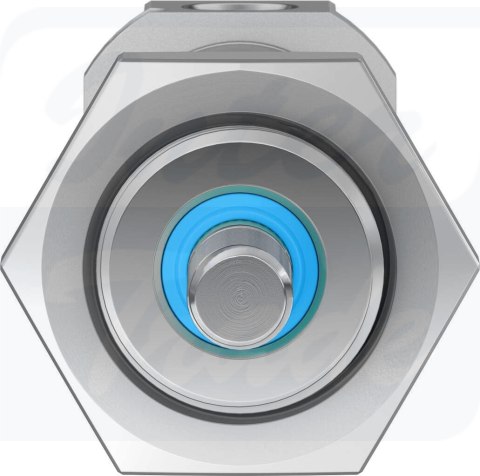 [DSNU-20-40-PPV-A] {19236} Siłownik znormalizowany