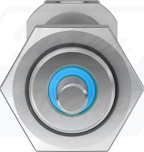 [DSNU-20-80-P-A] {19211} Siłownik znormalizowany