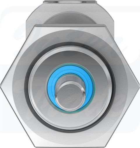 [DSNU-20-80-PPV-A] {19238} Siłownik znormalizowany