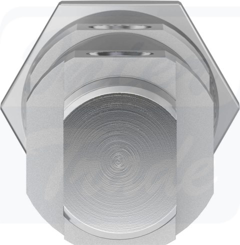 [DSNU-25-10-P-A] {19218} Siłownik znormalizowany