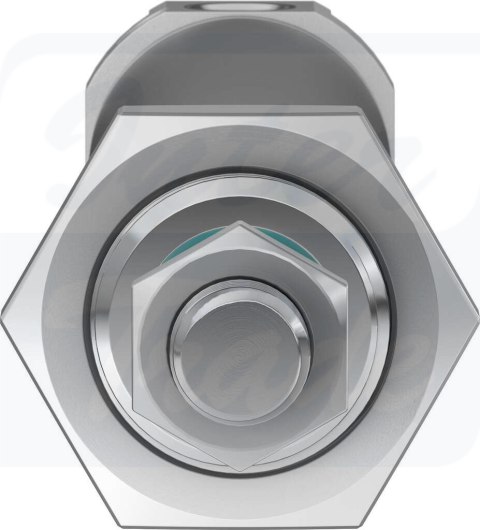 [DSNU-25-100-PPV-A] {19248} Siłownik znormalizowany