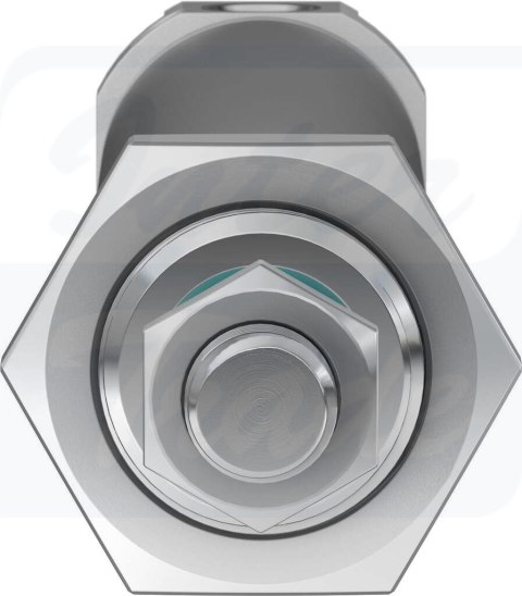 [DSNU-25-125-PPV-A] {19249} Siłownik znormalizowany