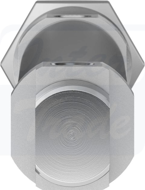 [DSNU-25-125-PPV-A] {19249} Siłownik znormalizowany