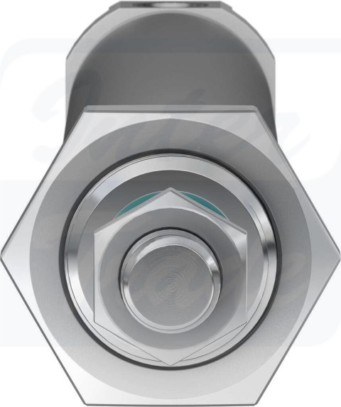 [DSNU-25-160-P-A] {19225} Siłownik znormalizowany