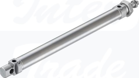 [DSNU-25-250-PPV-A] {19252} Siłownik znormalizowany