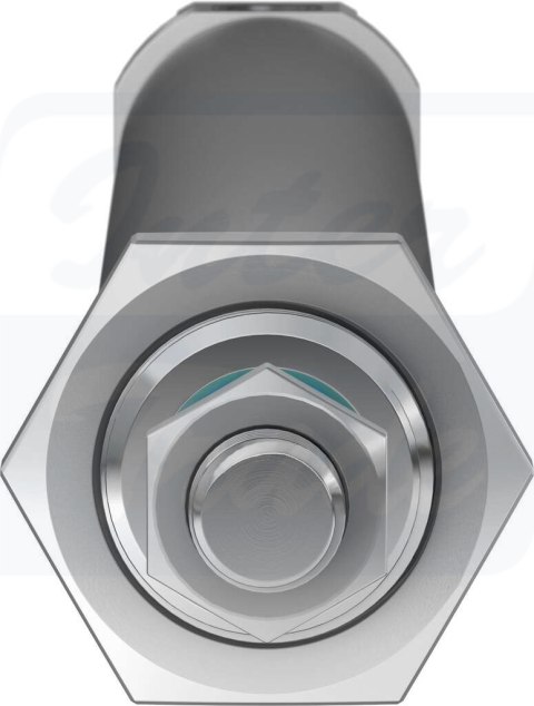 [DSNU-25-250-PPV-A] {19252} Siłownik znormalizowany