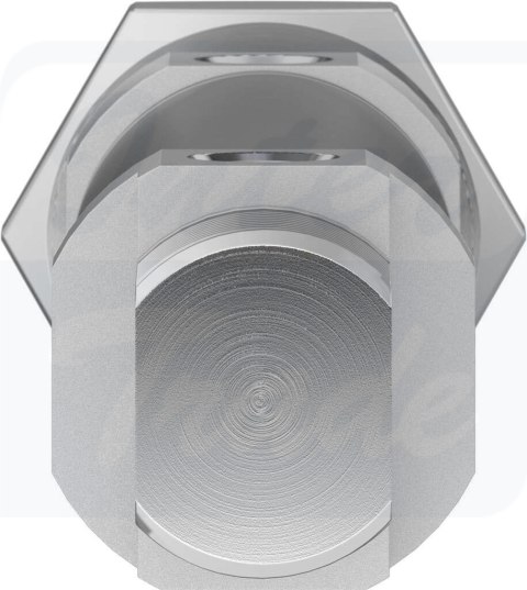 [DSNU-25-50-P-A] {19221} Siłownik znormalizowany