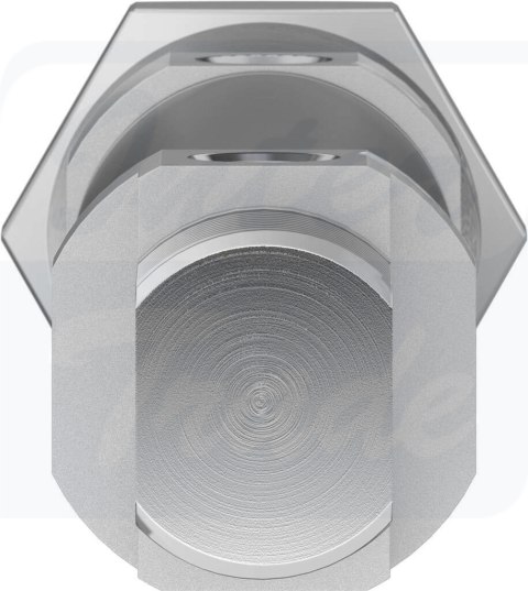 [DSNU-25-50-PPV-A] {19246} Siłownik znormalizowany