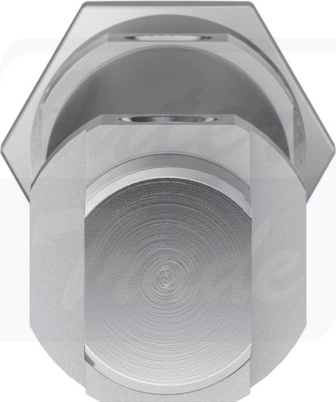 [DSNU-25-80-P-A] {19222} Siłownik znormalizowany