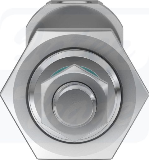 [DSNU-25-80-PPV-A] {19247} Siłownik znormalizowany