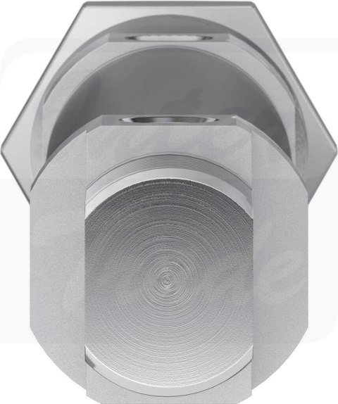 [DSNU-25-80-PPV-A] {19247} Siłownik znormalizowany