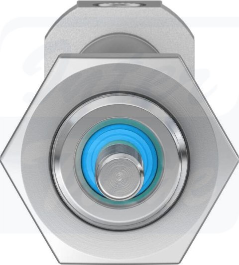 [DSNU-8-50-P-A] {19180} Siłownik znormalizowany