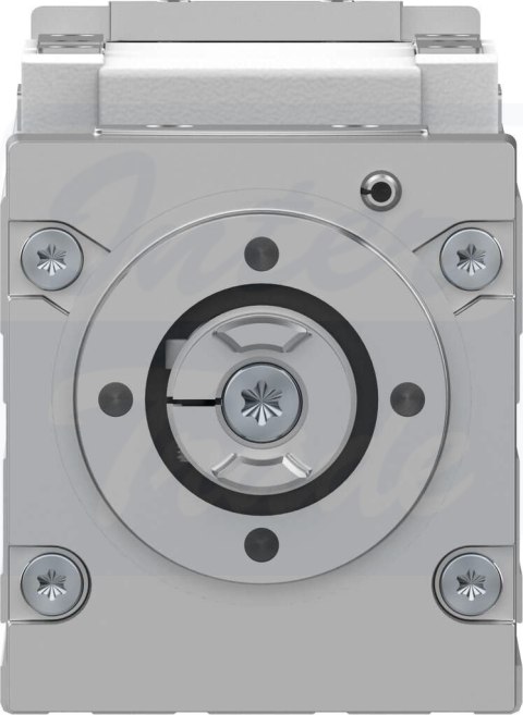 [ELGC-BS-KF-45-300-10P] {8061486} Napęd ze śrubą