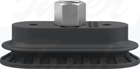 [OGVM-55X115-AV-N-G14F] {8073867} Przyssawka