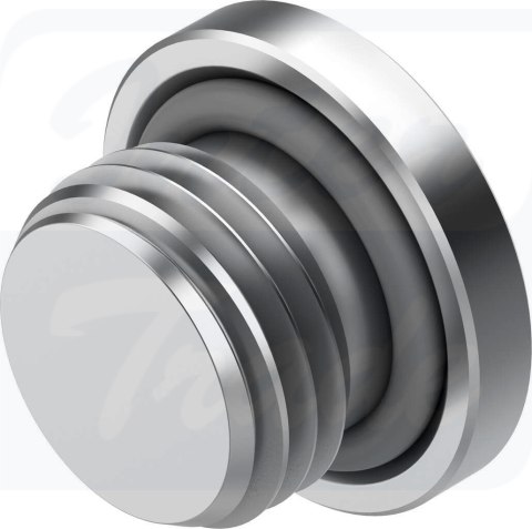 [NPQR-BK-G14] {8085674} Śruba zaślepka