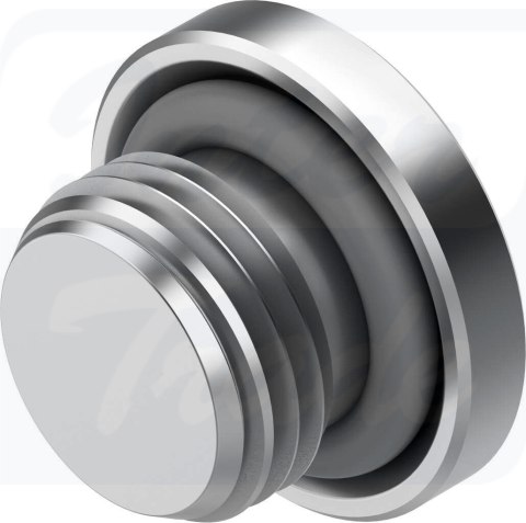 [NPQR-BK-G18] {8085673} Śruba zaślepka