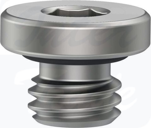 [NPQR-BK-M5] {8104803} Śruba zaślepka