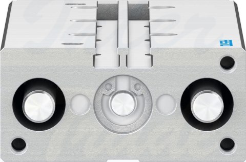 [DFM-12-100-P-A-KF-F1A] {8118638} Siłownik z prowadzeniem