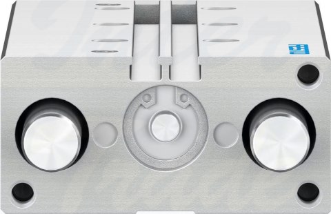 [DFM-16-100-P-A-GF-F1A] {8118829} Siłownik z prowadzeniem