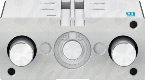 [DFM-20-80-P-A-GF-F1A] {8118848} Siłownik z prowadzeniem