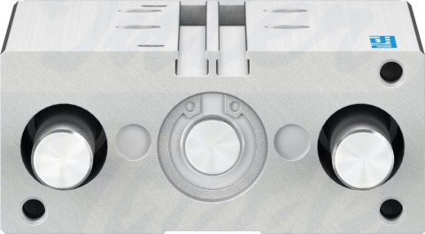 [DFM-20-80-P-A-KF-F1A] {8118855} Siłownik z prowadzeniem