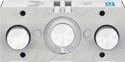 [DFM-32-30-P-A-GF-F1A] {8118883} Siłownik z prowadzeniem