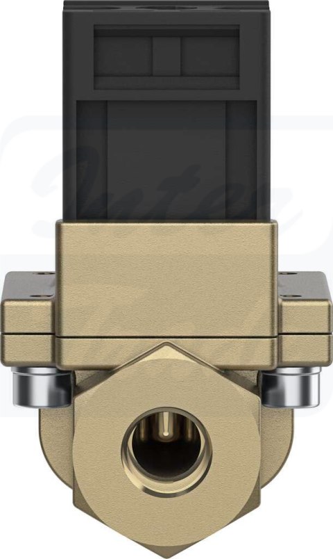 [MN1H-2-1/4-MS] {161725} Elektrozawór