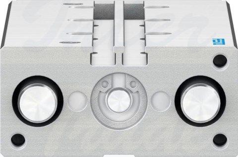 [DFM-12-100-P-A-GF] {170831} Siłownik z prowadzeniem