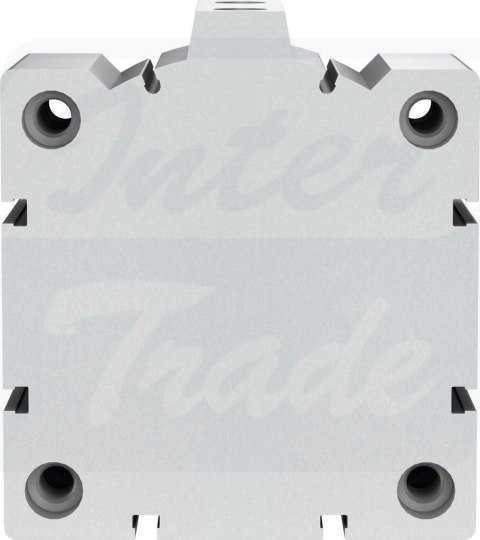 [ADVC-100-10-I-P-A] {188332} Siłownik krótkoskokowy