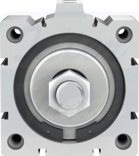 [ADVC-100-15-A-P-A] {188341} Siłownik krótkoskokowy