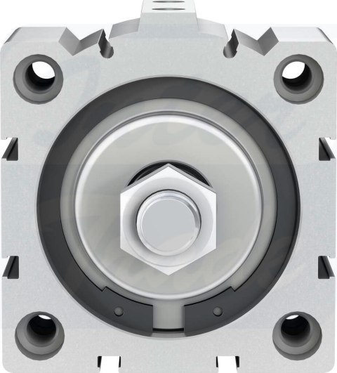 [ADVC-80-10-A-P-A] {188316} Siłownik krótkoskokowy