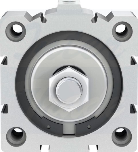 [ADVC-80-10-A-P] {188320} Siłownik krótkoskokowy