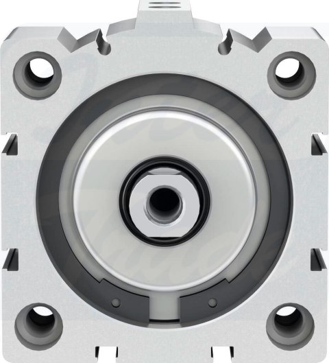 [ADVC-80-10-I-P] {188312} Siłownik krótkoskokowy