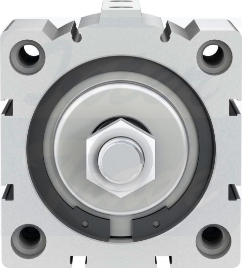 [ADVC-80-15-A-P-A] {188317} Siłownik krótkoskokowy